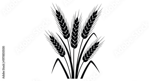 A striking black silhouette depicts a cluster of wheat stalks showcasing natural elegance and simplicity silhouette high quality professional detailed
