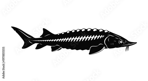 A striking black silhouette of a sturgeon fish showcasing its unique form and bony plates silhouette high quality professional detailed modern