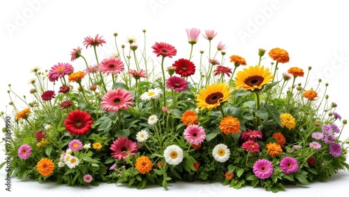 Vibrant garden with assorted flowers in colors of pink, yellow, orange and green. Perfect for outdoor spaces and landscaping.