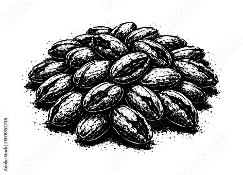 A dense cluster of dried cocoa beans with cracked shells shown in a slightly elevated view, enlarged to dominate the frame as a textured organic grouping on a clean white