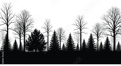 A stark black and white forest landscape with bare trees and evergreen varieties presented as a silhouette high quality professional detailed