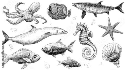Various Marine Fish Illustrations in Blue Color with Detailed Patterns on White Background