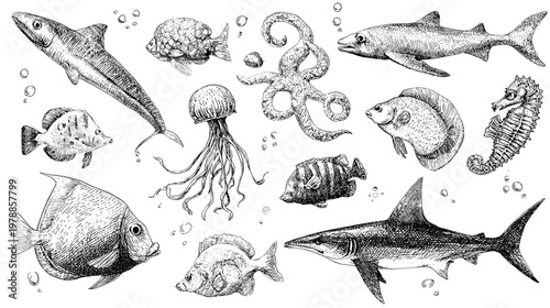 Various Marine Fish Illustrations in Blue Color with Detailed Patterns on White Background