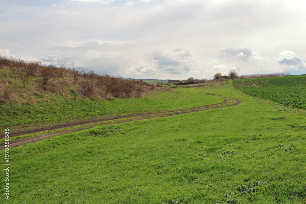 Fototapeta premium A dirt road through a grassy field