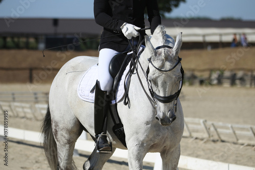 Close-up of a dressage horse under saddle at a summer competition. Beautiful quality leather saddle
