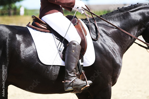 Close-up of a dressage horse under saddle at a summer competition. Beautiful quality leather saddle