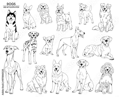 Set of vector hand drawn dogs illustrations, line drawing animal collection	