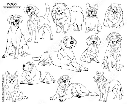 Set of vector hand drawn dogs illustrations, line drawing animal collection	