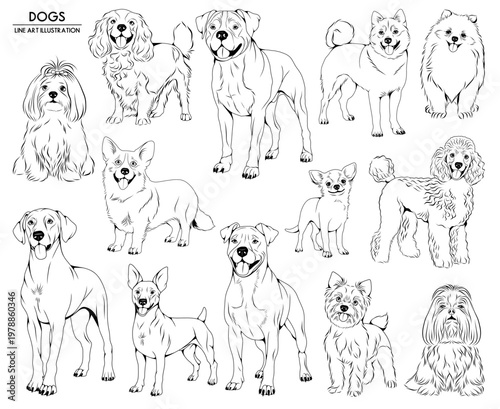 Set of vector hand drawn dogs illustrations, line drawing animal collection	