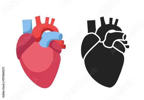 Human heart. Internal organ. Hand-drawn vector illustration.