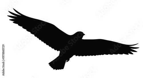 A majestic bird of prey soars through the air black silhouette