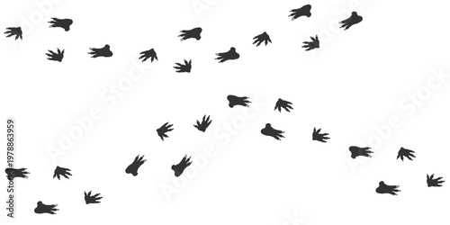 Footprints of  Wild Animal, Traces of a Koala  on white background. Koala silhouette animal tracks. Paw Print. Vector illustration. EPS10.