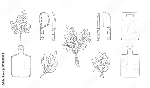 Hand drawn kitchen utensils and herbs white parsley knife