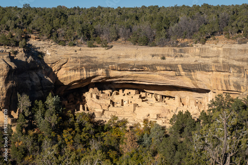 Vászonkép Cliff Palace at Mesa Verde National Park in Colorado protects Ancestral Puebloan sites