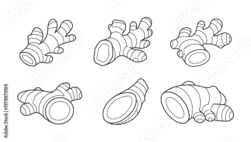 Six line of ginger root pieces spice ingredient food
