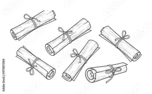 Six rolled parchment scrolls tied with string in a style