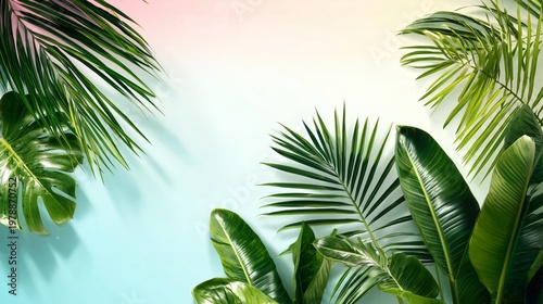 Lush Green Leaves Against a Pastel Background in a Bright Setting Around Midday