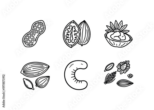 Vector featuring a variety of nuts and seeds in simple designs.