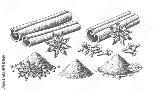 Assortment of Spices Cinnamon Star Anise Cloves and Ground Spices