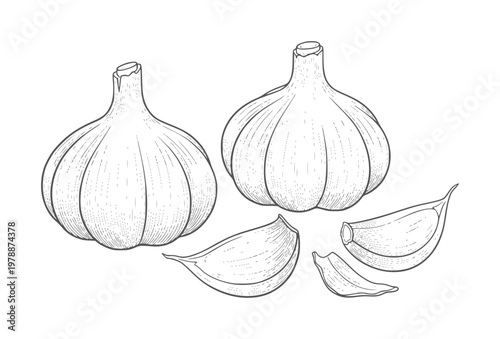 Two whole garlic bulbs and three cloves in a style food ingredient