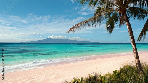Beautiful View of a Tropical Beach With Clear Water and Palm Trees on a Sunny...