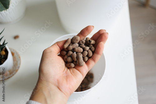 Hand Holding Drainage Material for Plant Transplanting