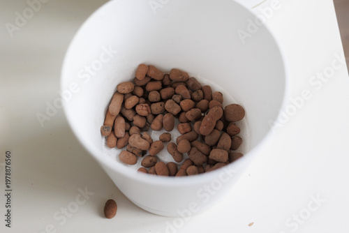 White Pot with Expanded Clay Pebbles Drainage for Plant Repotting