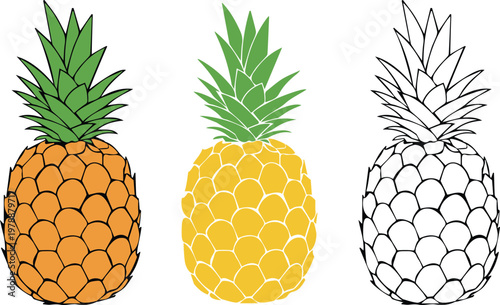 Pineapple vector set in different styles for logos, patterns, and web design - Tropical Fruits