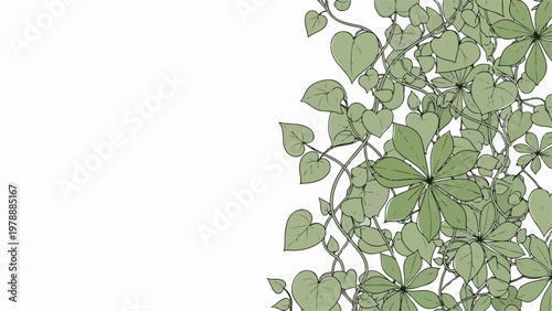 Green vine with leaves and flowers vector illustration, organic growth pattern for nature design. for branding, packaging, banner, poster, website header, and social media design use