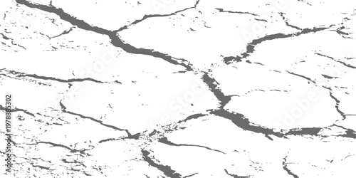 abstract black and white distressed texture of cracked earth and peeling paint for grunge background designs