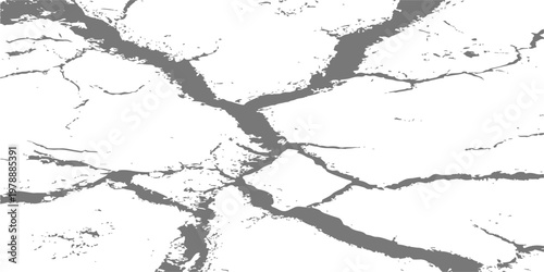 abstract black and white distressed texture of cracked earth and peeling paint for grunge background designs