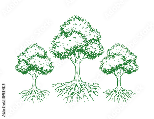 Three green trees with visible roots white nature