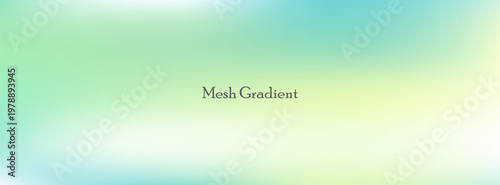 Abstract vector banner. Soft mesh gradient blend transitions smoothly through pastel green, turquoise, and pale yellow, with central serif text "Mesh Gradient".