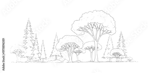 Diverse forest landscape with various trees and foliage in outline nature