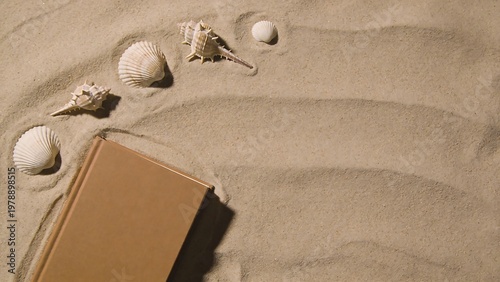 A book and seashells resting on the sandy beach during summer vacation