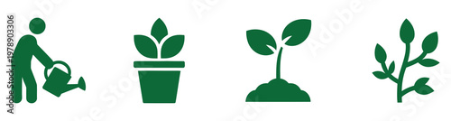 Man watering young green plants growth stages in white pots flat design illustration