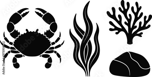 Marine life silhouette icon set crab coral seaweed shell vector illustration