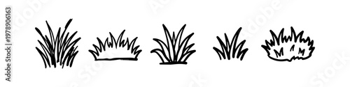 Billede på lærred Set of hand-drawn grass tufts in a doodle style