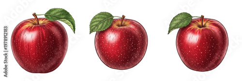 Tableau sur toile Premium Red Jonathan Apple Illustration Set - Realistic Hand-Drawn Red Apples wi