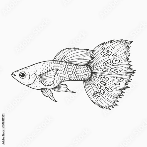 Guppy Fish Line and Dot Art