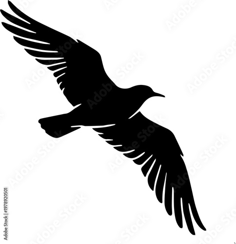 flying bird silhouette