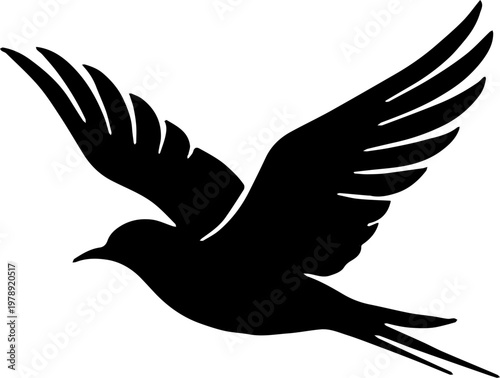vector illustration of a flying bird