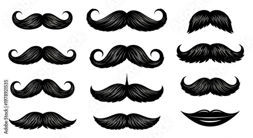 Vector Mustache Icons, Black Silhouette Moustache Set, Facial Hair Illustrations, 12 Moustache Designs