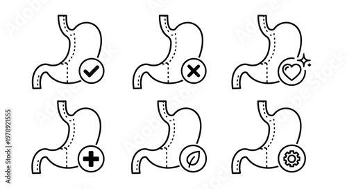 Stomach anatomy, digestive system, medical icons, health symbols, vector illustrations