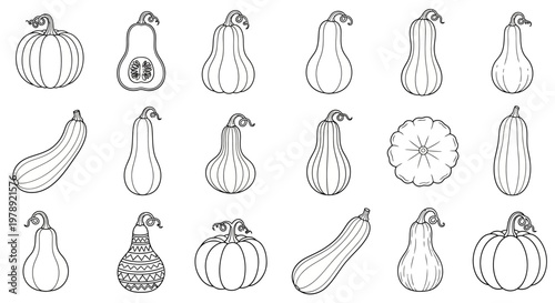 20 Squash, Gourds, and Pumpkins Vector Icons, Black Line Art, Vegetables, Isolated on White