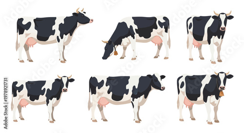 Cow, cattle, black and white, milk cow, dairy cow, vector icons, 6 cows