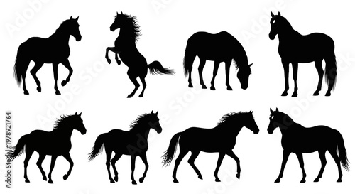 Horse silhouettes, black horse icons, equine vector set, 8 horse shapes