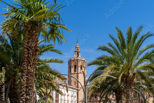 Valencia cathedral bell tower soaring above city palm trees under a clear blue sky