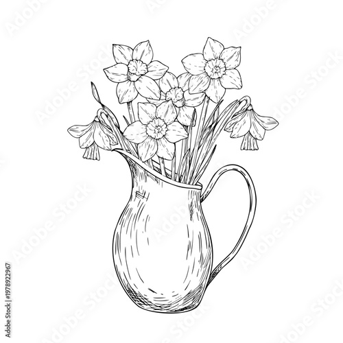 Vector jug for water with daffodils flowers. Graphic hand drawn pitcher illustration isolated on background. Botanical spring, summer and clip art. For greeting card, wallpaper, wrapping paper design