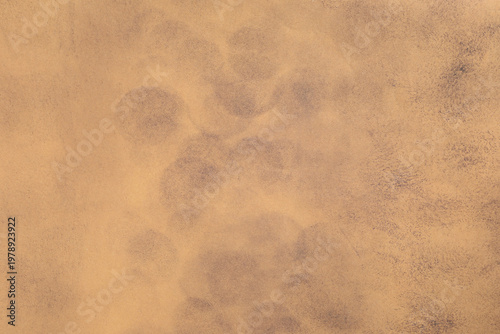 Old wallpaper with visible burnt and dirty grunge texture